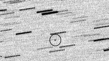 An image of the mystery object from space that is about to whizz close by Earth taken from Skylive-Grove Creek Observatory in NSW.