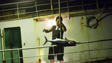 Yes we can... a crew member on the Taiwanese long-liner Kai Jie 1 pulls in a tuna in the Pacific. Taiwan, which has the biggest tuna fleet on the high seas, is accused of overfishing.