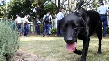 One band member has written to the NSW State Government asking for sniffer dogs to be excluded from Splendour in the Grass.