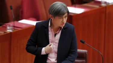 Openly gay Labor frontbencher Penny Wong attacks the plebiscite plan in the Senate.
