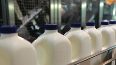  Milk ahoy: Norco is flying about 16,000 litres of fresh milk a week into Shanghai, and says the demand is growing.