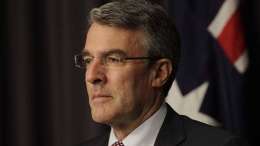 Attorney-General Mark Dreyfus is arguing Australia's case at The Hague to end Japan's whaling program.