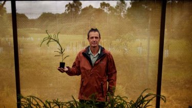 Rowhan Marshall holds a rare Timbertop Wattle, which has grown from a cutting in the wild, at the Euroa Arboretum.