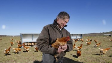 Home on the range ... Tony Coote, on his farm near Canberra yesterday, says people buying accredited free-range eggs may not be getting what they pay for.