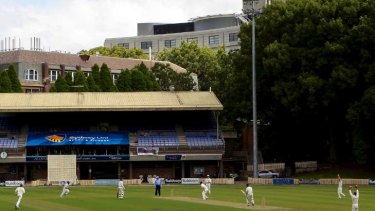 Sea of green &#8230; cricketers enjoy their game at University Oval yesterday.