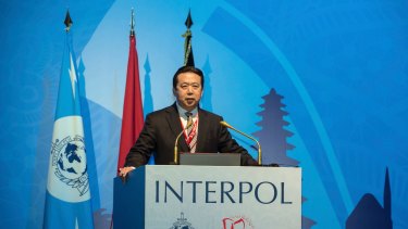 China's Vice Minister of Public Security Meng Hongwei speaks at Interpol's general assembly in Bali last year.