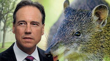 Greg Hunt and a southern brown bandicoot.