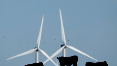 No bull: Australians strongly support more renewable energy.