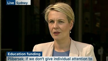 Acting Opposition Leader Tanya Plibersek didn't know Senator Conroy had even quit when asked about it at a press conference in Sydney.