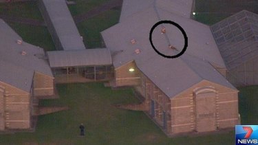 Silk Road accused Peter Nash claims he was bashed in ...