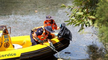 NSW Fisheries and SES clean up the dead fish in the Georges River.