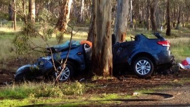 The wreckage of a car that swerved to avoid a kangaroo and hit a tree. 