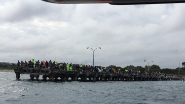 Hundreds pack Ammo Jetty as Perth experiences a bumper salmon season. 
