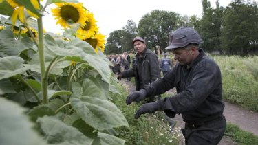 Ukrainian coal miners sift through flower fields in the grim search for remains.