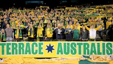 Climb aboard: The Socceroos are growing in stature among Australian sporting fans, and will only grow further if they make it to Brazil.