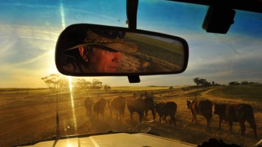 "It's an absurdity - kangaroos are a nomadic animal": Leonard Vallance on his 7000-hectare farm near Tempy in the Mallee.