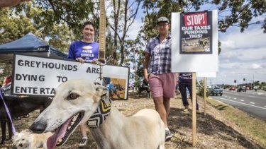 Ex-racing greyhounds joined protesters on Saturday.