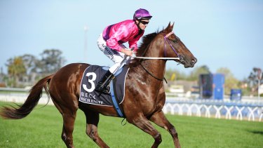 Derby date: Rich Enuff looks set for a tilt at the Coolmore Stud Stakes.