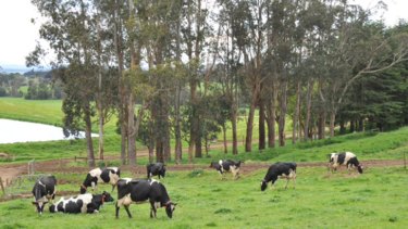 A win-win for animal welfare