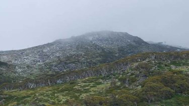 Move to open up national parks: Surrounding parkland at Perisher Valley.