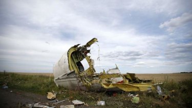 Damage to plane consistent with that inflicted by surface-to-air missile: A part of the wreckage is seen at the crash site of MH17.