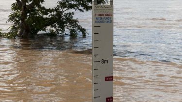 Hundreds evacuated as Grafton braces for record flood