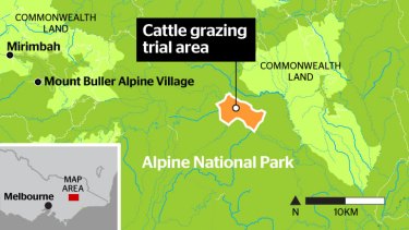 Greg Hunt approves Victorian Alpine National Park cattle grazing trial