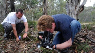 Naturalist Stuart Harris, left, and scientist Dr Jurgen Otto  have discovered and photographed a new spider species at Namadgi National Park.