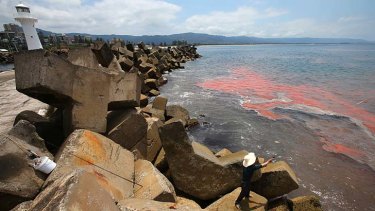 Red sea ...  the scene today outside the breakwall of Wollongong Harbour.