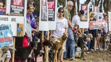 About 200 people gathered in Slacks Creek to protest the development of a greyhound racing track.