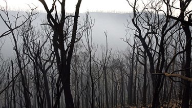 Schools Close Doors As Victorians Prepare For More Bushfires