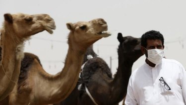 Mystery disease: a man wearing a mask at a camel market in al-Thamama, Saudi Arabia.