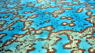 Dredging waste: Scientific advice opposing the dumping of waste in the Great Barrier Reef was ignored.