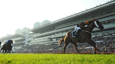 How Jockey Joao Moreira Went From Brazilian Poverty To World S Best Jockey