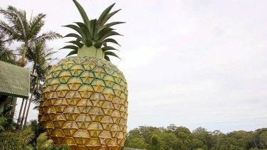 The Big Pineapple produce markets will return next month after a long absence on the Sunshine Coast.