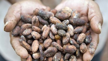 Magic beans? ... Cacao contains high levels of antioxidants.