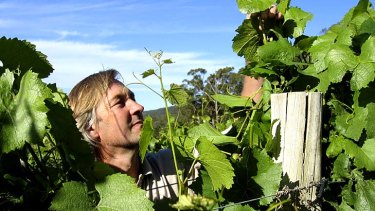 Owner-grower Alan Cooper checks the vines at his Cobaw Ridge winery.