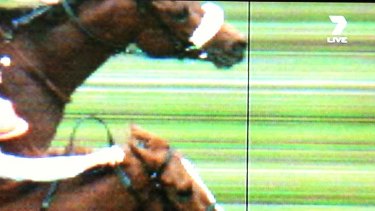 So close ... Dunaden just edges ahead of  Red Cadeaux.