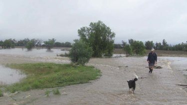 Ian Bailey and his dog Scotty inspects the flooded road and front paddock at Bundy Station 25 kilometres south-east of Moree on the Tycannah Creek.