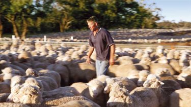 Ian Shippen is trying to sell all of his future water entitlements back to the government and concentrate on dry farming sheep.
