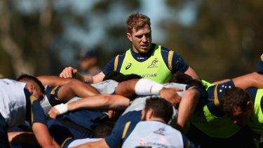 David Pocock has been chosen on the bench for the Wallabies for Saturday night's Test against South Africa at Suncorp Stadium.