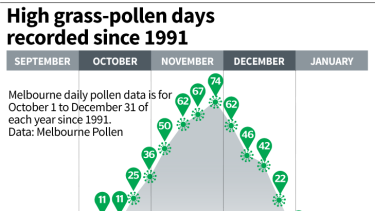 About 40 per cent of the high pollen days since 1991 have been recorded in December.