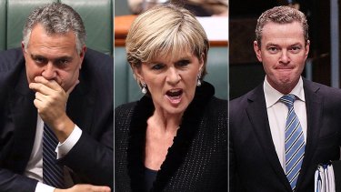 Three of of the four ministers needing protection: From left; Joe Hockey, Julie Bishop and Christopher Pyne.