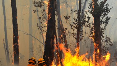 Bushfires pose a threat to the carbon sequestered under the $2.2 billion spent so far under the Emissions Reduction Fund.