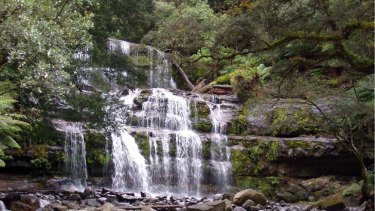 Liffey Falls in Tasmania.