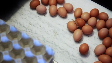 The ACCC has several criteria to test if eggs are free range.