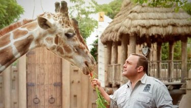 Talking to the animals: A giraffe (left) receives a reward for issuing quality romantic advice to zookeeper Griffin Keyes (Kevin James) in the formulaic, family-friendly comedy <i>Zookeeper</i>.