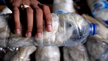 A policeman holds a water bottle with a yellow-crested cockatoo put inside for illegal trade, at the customs office of Tanjung Perak port in Surabaya, East Java province, Indonesia.