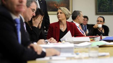 Meet the ministers ... Kristina  Keneally and her cabinet on the central coast yesterday.