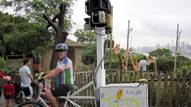 The giraffes at Taronga zoo watch a Google tricycle mapping the parts the cars can't reach.